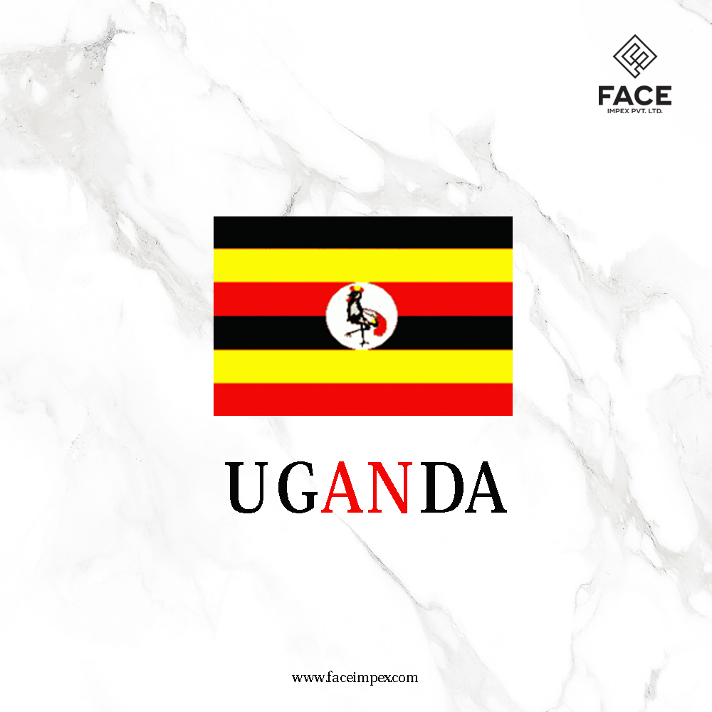 Premium Ceramic and Porcelain Tiles for Uganda Growing Market