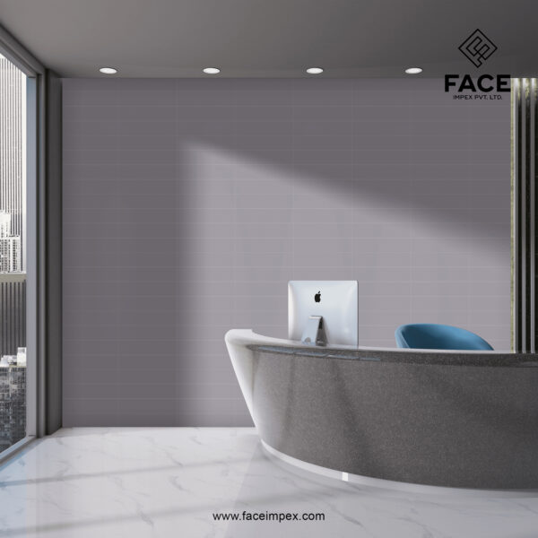 Ceramic Wall Tile