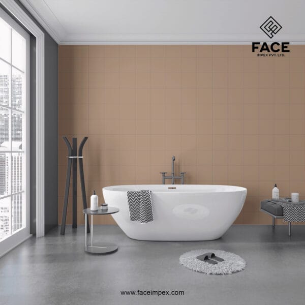 Ceramic Wall Tiles