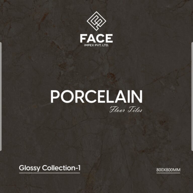 Gloosy Porcelain Tiles Catalogue