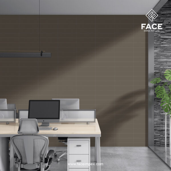 Ceramic Wall Tiles