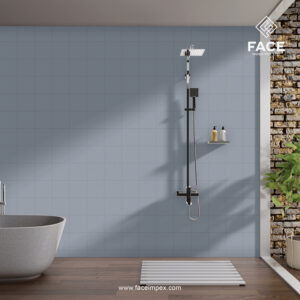 Ceramic Wall Tiles