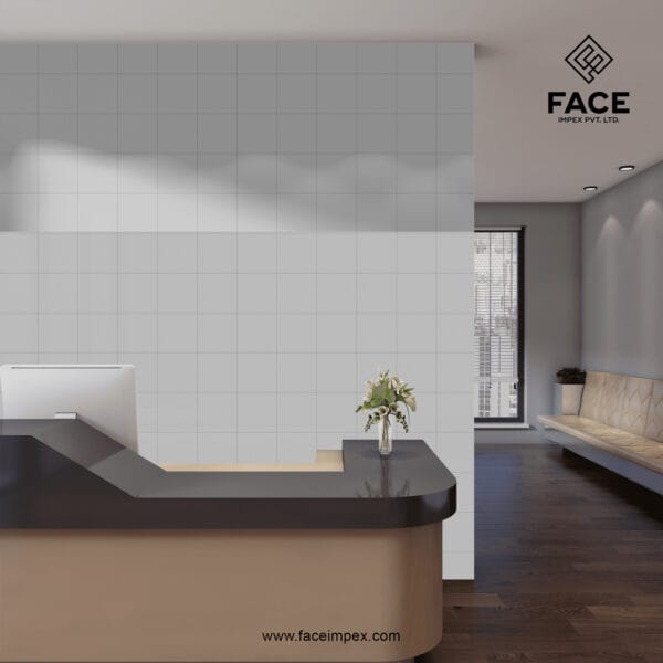 Ceramic Wall Tiles
