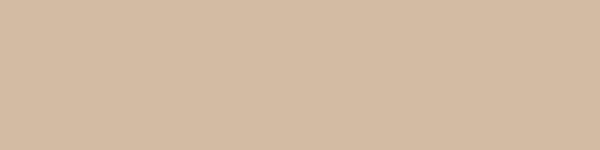 LIGHT KHAKHI - Subway Tiles - Image 3