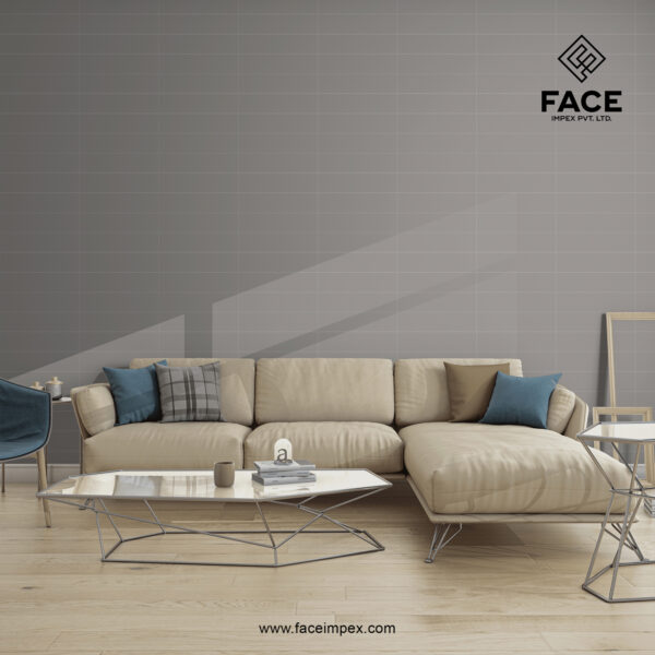 Ceramic Wall Tiles