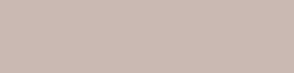 SANDAL BEIGE - Ceramic Wall Tile 75x150mm - Image 3
