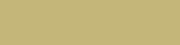 TEA GREEN - Subway Tiles - Image 3