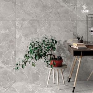 Premium polished porcelain tiles in 600x1200mm size by Face Impex for stylish flooring