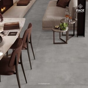 600x1200mm matt porcelain tiles with elegant natural finish by Face Impex for modern interiors